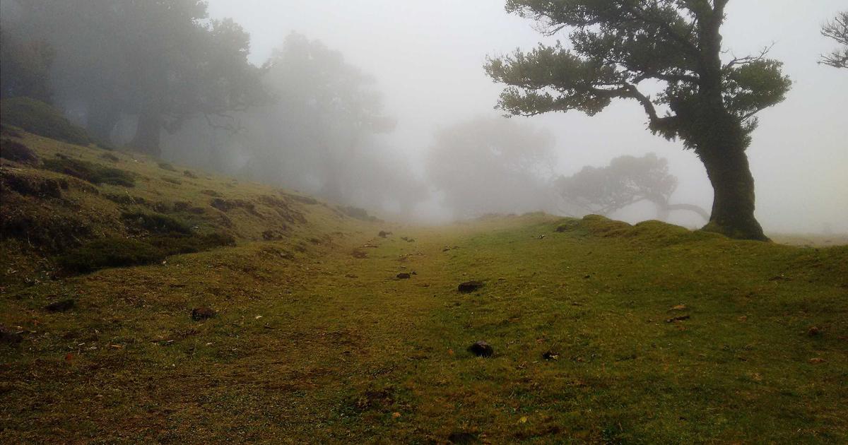 Painel de análise preditiva e séries temporais